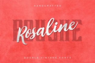 A Versatile Font Duo for Modern Campaign Designers