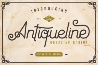 Antiqueline: A Refined Monoline Typeface for Web Designers