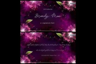 Brandy Jelly Duo: A Luxe Script Font That Elevates Real Small Business Branding