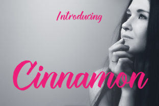 Cinnamon: A Feminine Handwritten Font for Makers