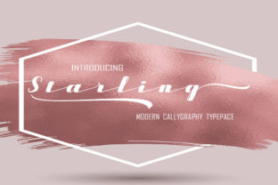 Starling: A Modern Calligraphy Font That Elevates Real Business Branding
